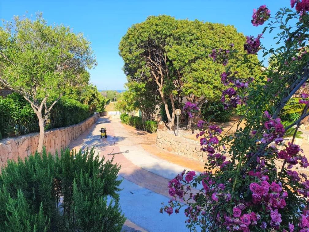 Villa Saba Olbia Eksteriør bilde