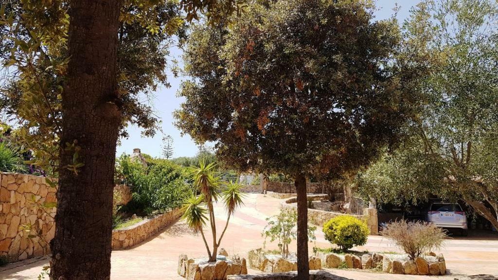 Villa Saba Olbia Eksteriør bilde