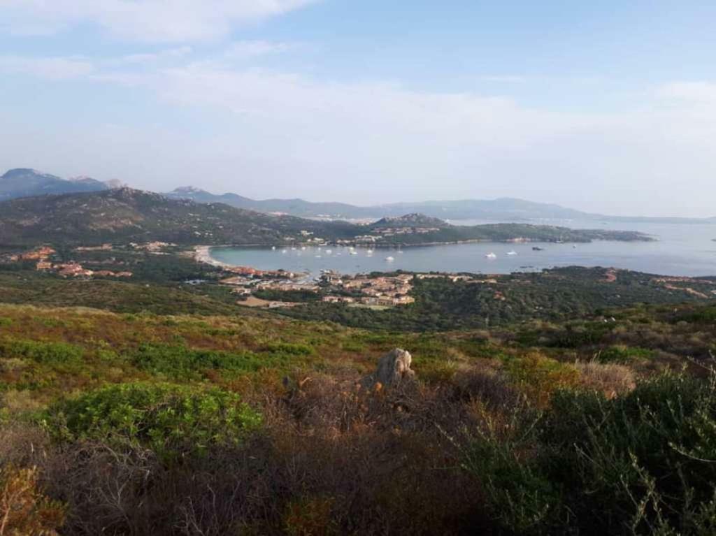 Villa Saba Olbia Eksteriør bilde