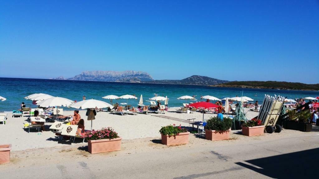 Villa Saba Olbia Eksteriør bilde