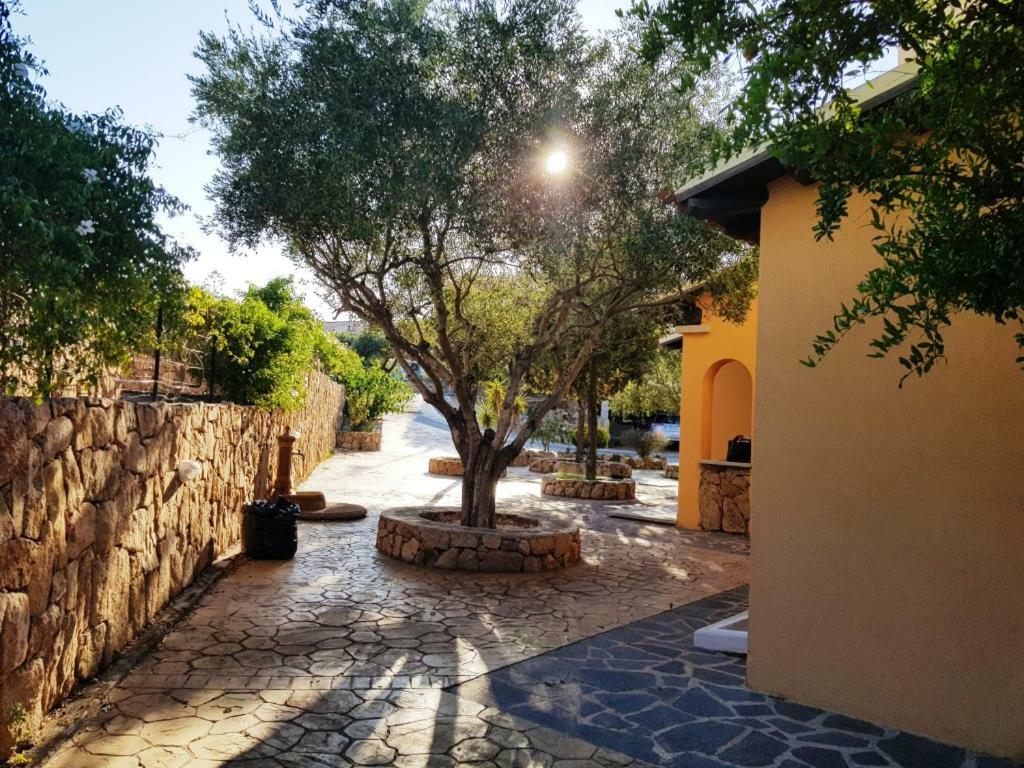 Villa Saba Olbia Eksteriør bilde