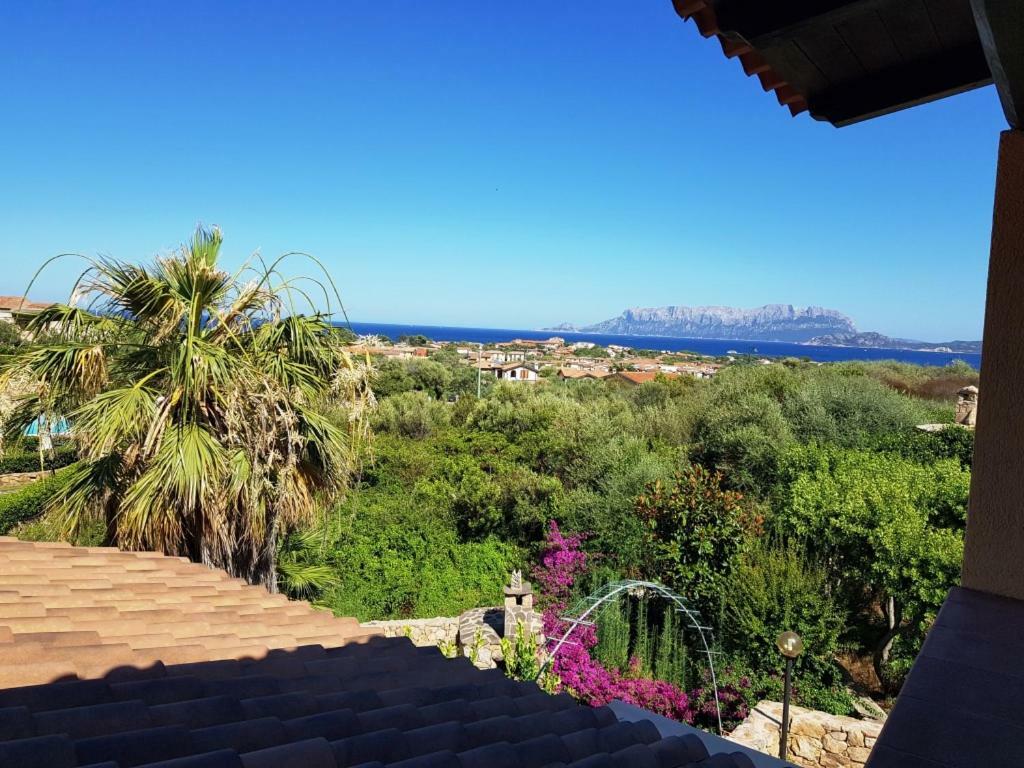 Villa Saba Olbia Eksteriør bilde