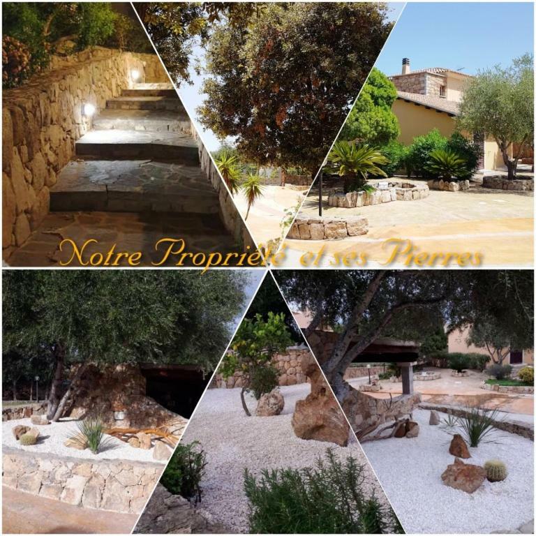 Villa Saba Olbia Eksteriør bilde
